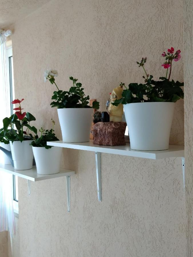 Heart Of Makarska Apartman Kültér fotó